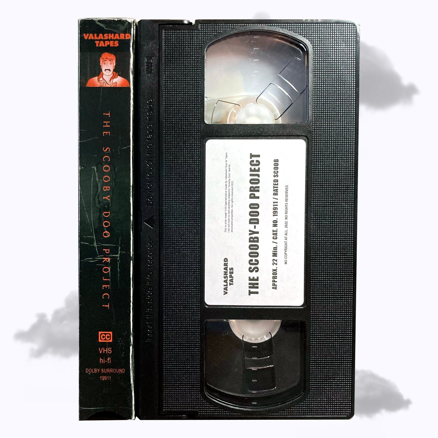 THE SCOOBY-DOO PROJECT VHS